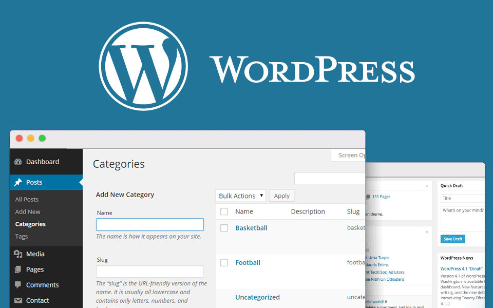 The Best WordPress Website Developer