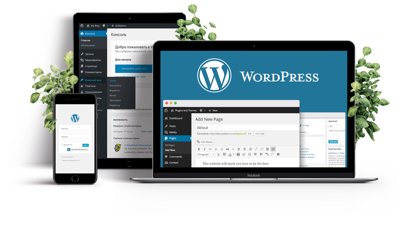 The Best WordPress Website Developer